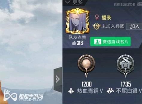 和平精英《牛牛》辅助